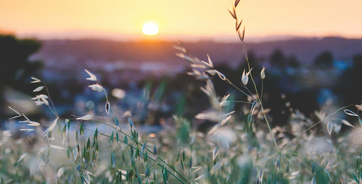 The Houses are Made of Cards in the Land of Morning Calm