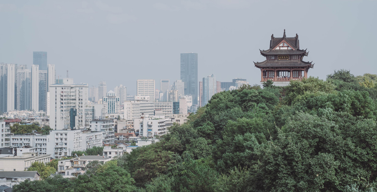 Why did I hide my mother and her family?