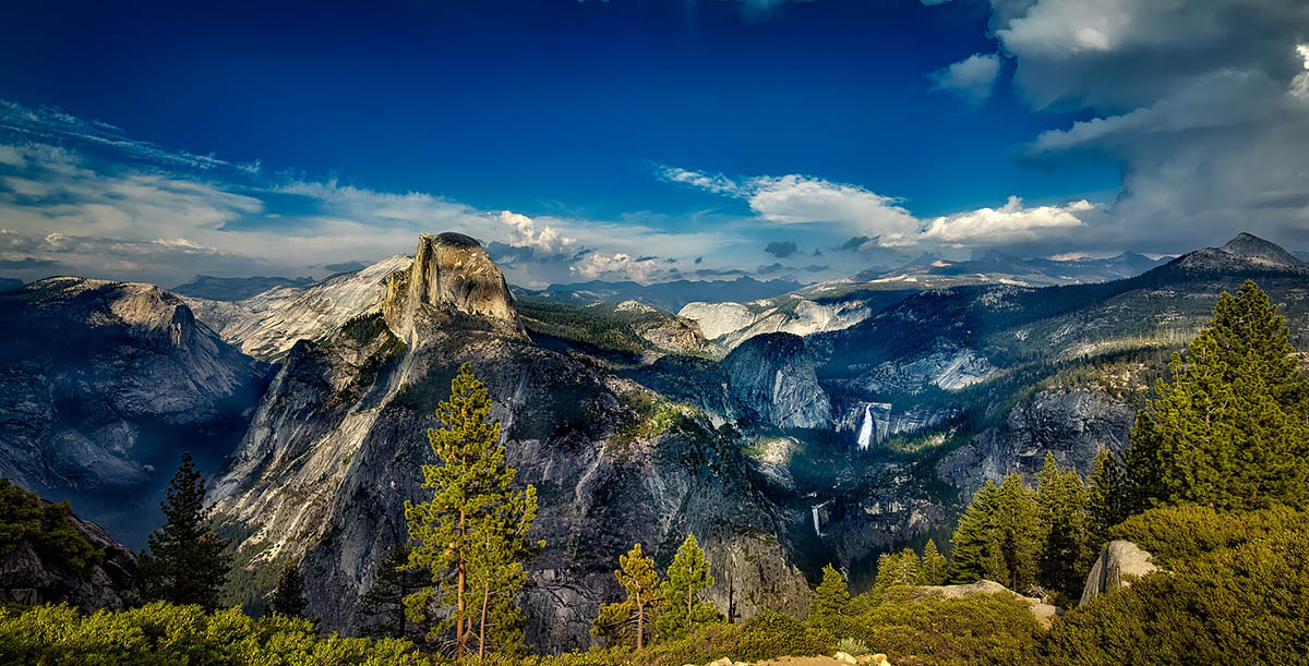 A Prayer for Roses in Alabama
