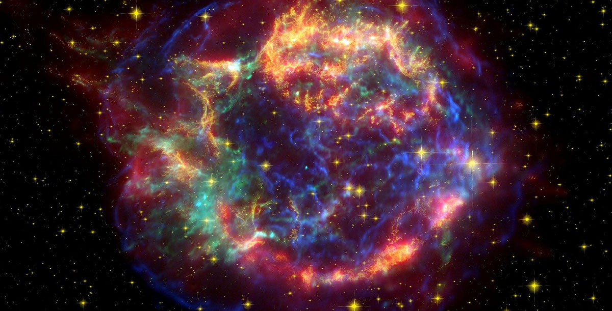 Drunken Wasps on Rotten Fruit