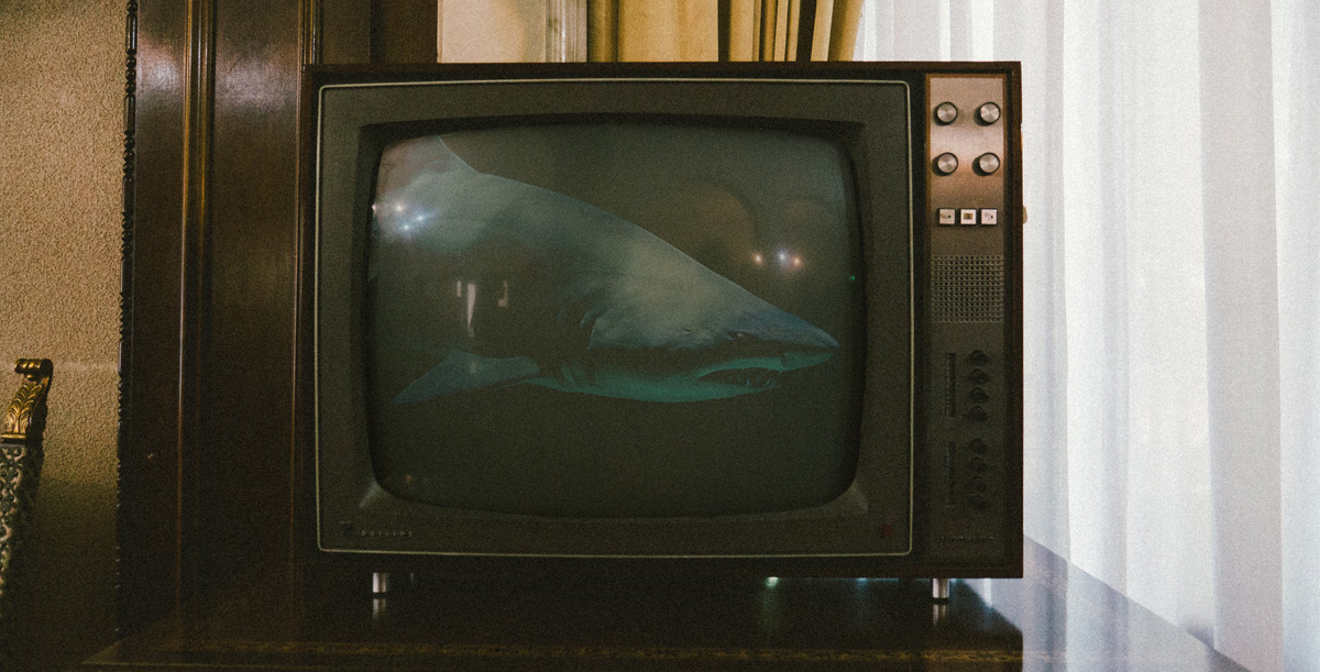 For the Love of George