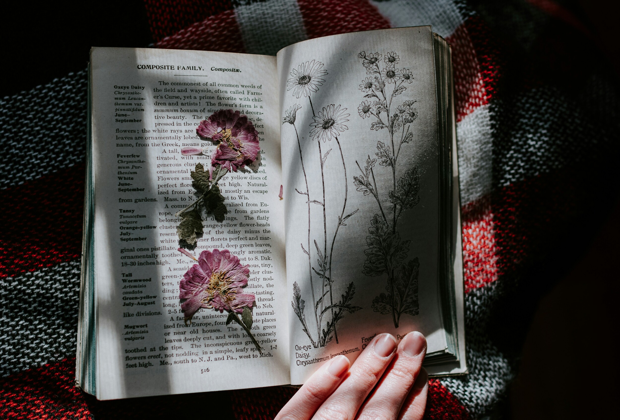 Pressed for Meaning