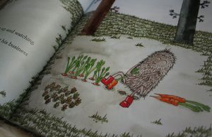 The Little Guy and the Creature Illustrations by Karen Hansen